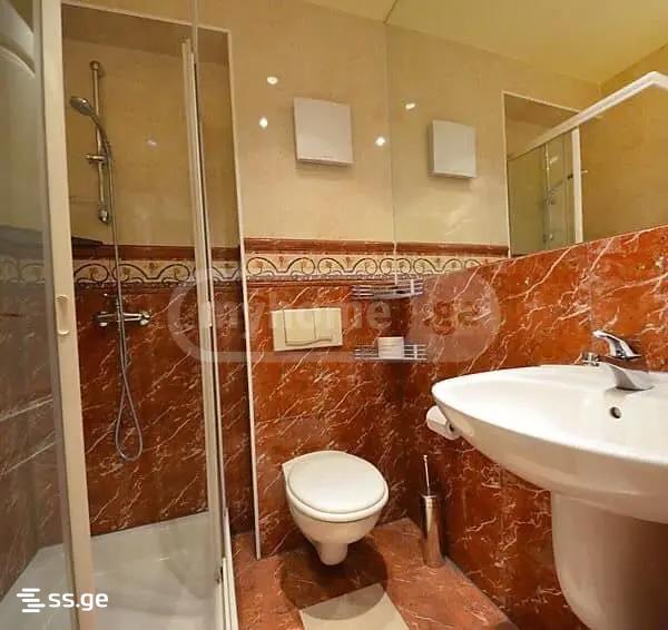 55 Room Hotel For Rent. Gldani view 6