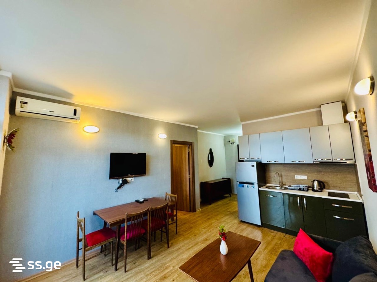 2 Room Flat Daily Rent. Batumi view 5