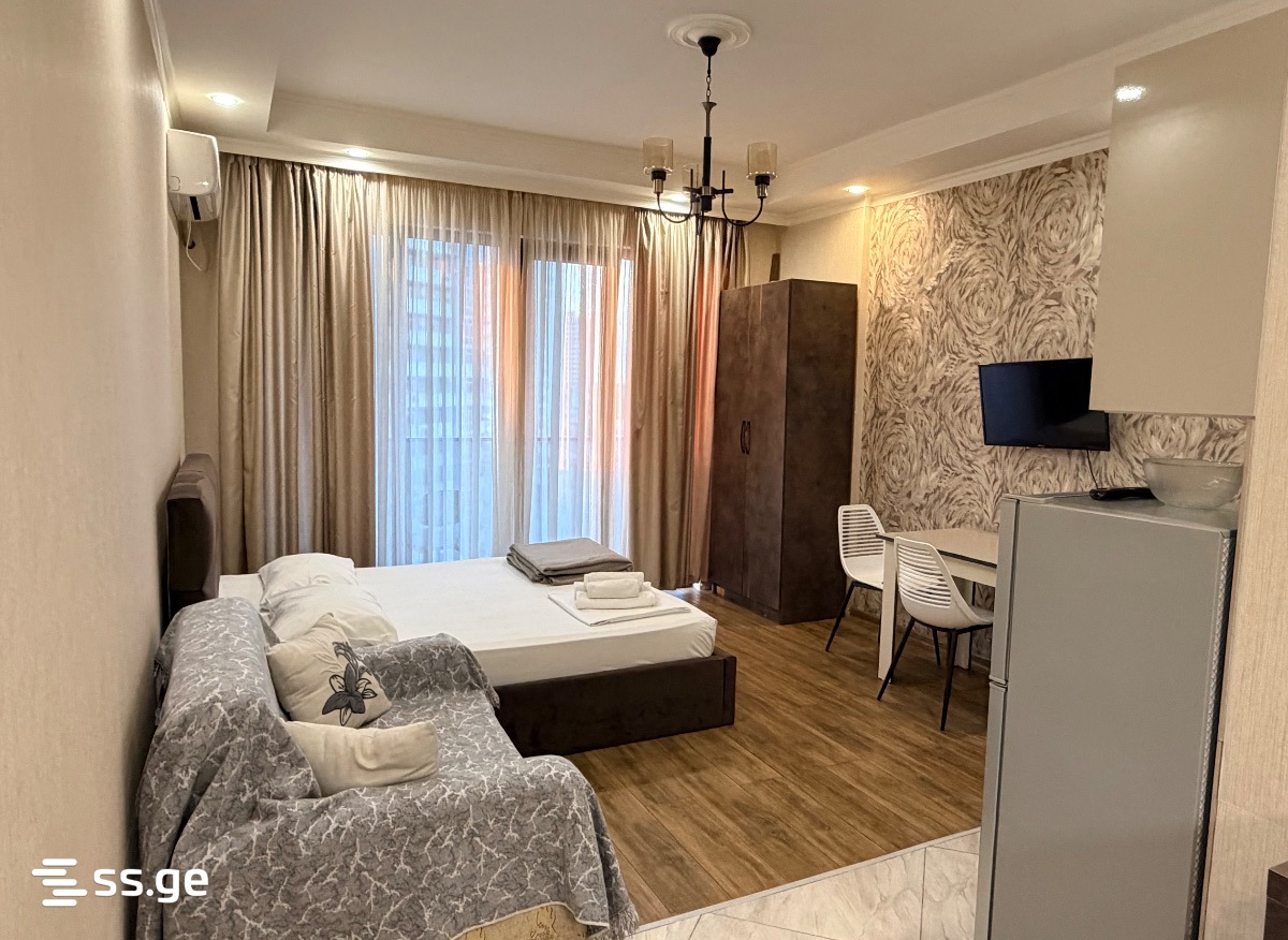 1 Room Apartment Daily Rent In Batumi view 13