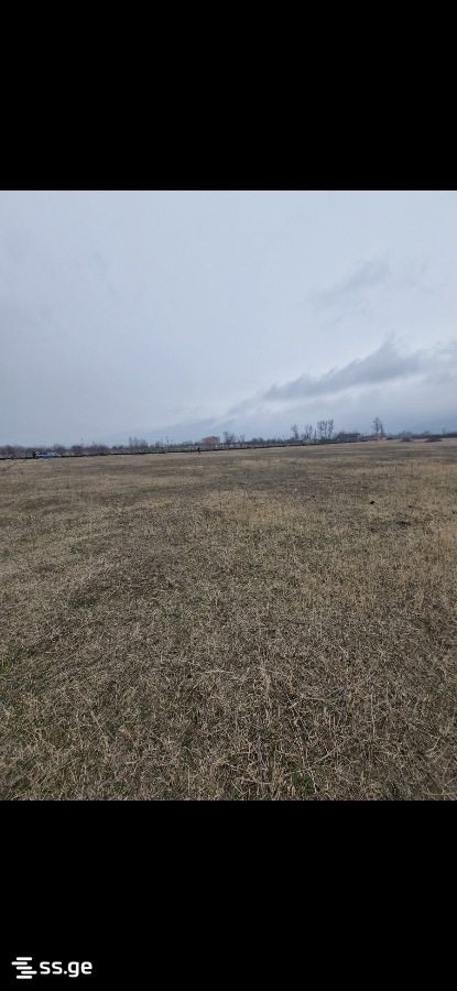 Land For Sale. Natakhtari view 1