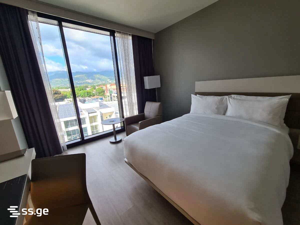 37 Room Hotel For Rent. Nadzaladevi view 7