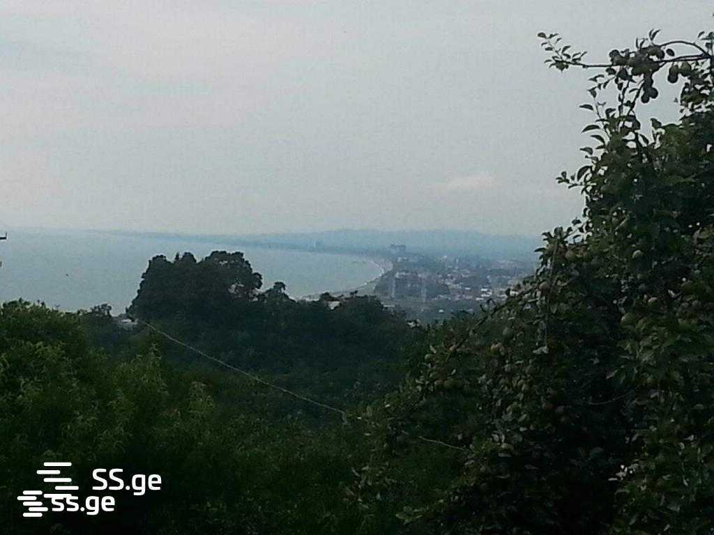 იყიდება მიწა ციხისძირიში view 3