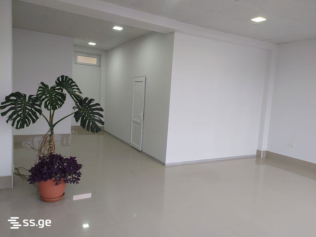 Commercial Space For Sale. Kutaisi view 3