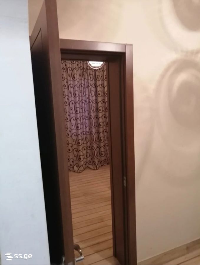 1 Room Flat For Rent. Rustavi view 3