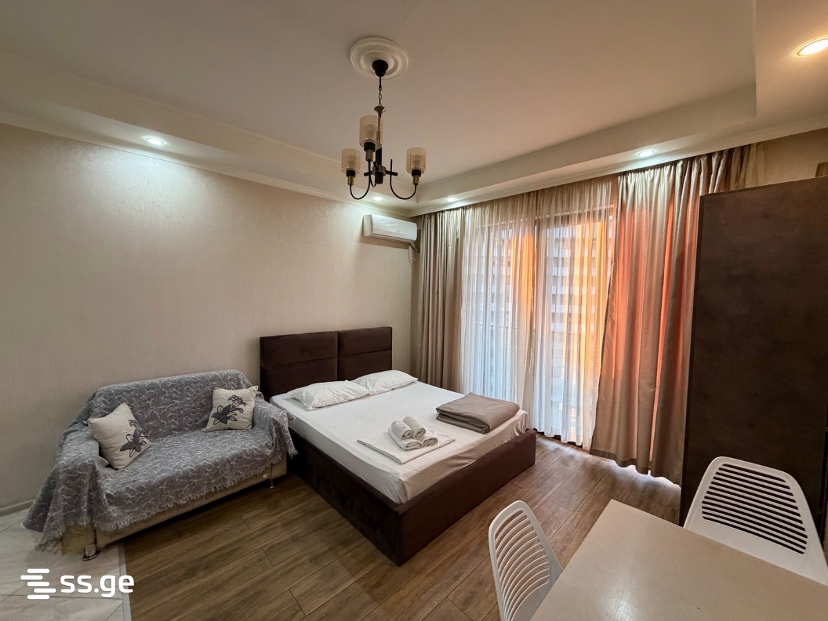 1 Room Apartment Daily Rent In Batumi view 15