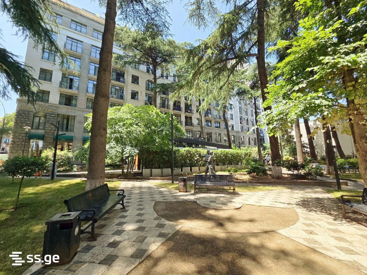Daily Rent 2 Room Apartment Mtatsmindaze view 38