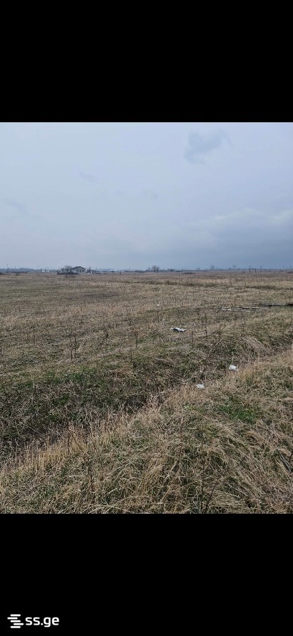Land For Sale. Natakhtari view 3