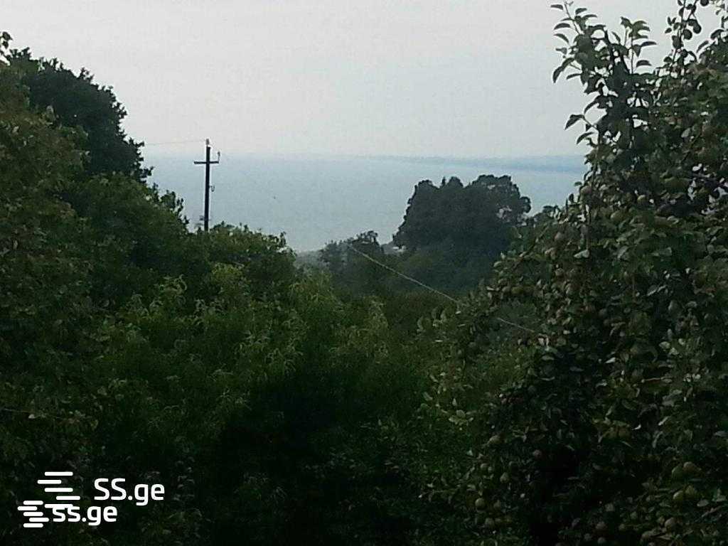 იყიდება მიწა ციხისძირიში view 4