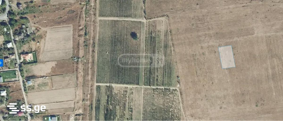 Land For Rent. Mtskheta view 2