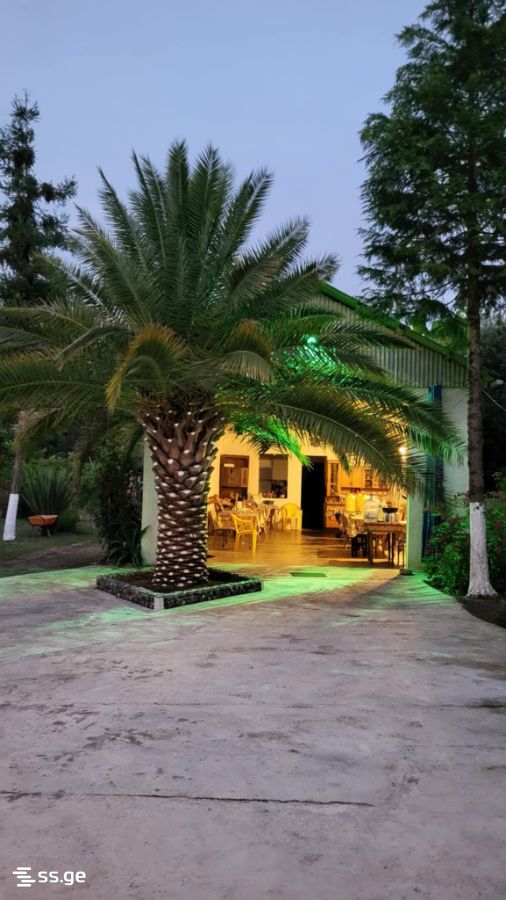 7 Room Private House Daily Rent. Ureki view 3