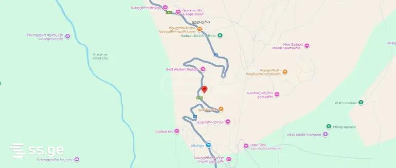 Commercial Space For Sale. Gudauri view 9