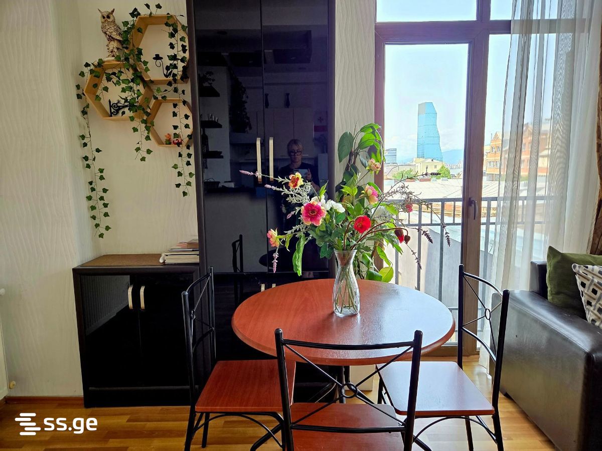 Daily Rent 2 Room Apartment Mtatsmindaze view 27