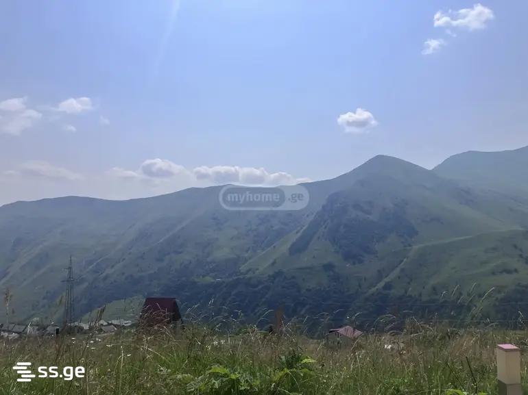 Commercial Space For Sale. Gudauri view 7