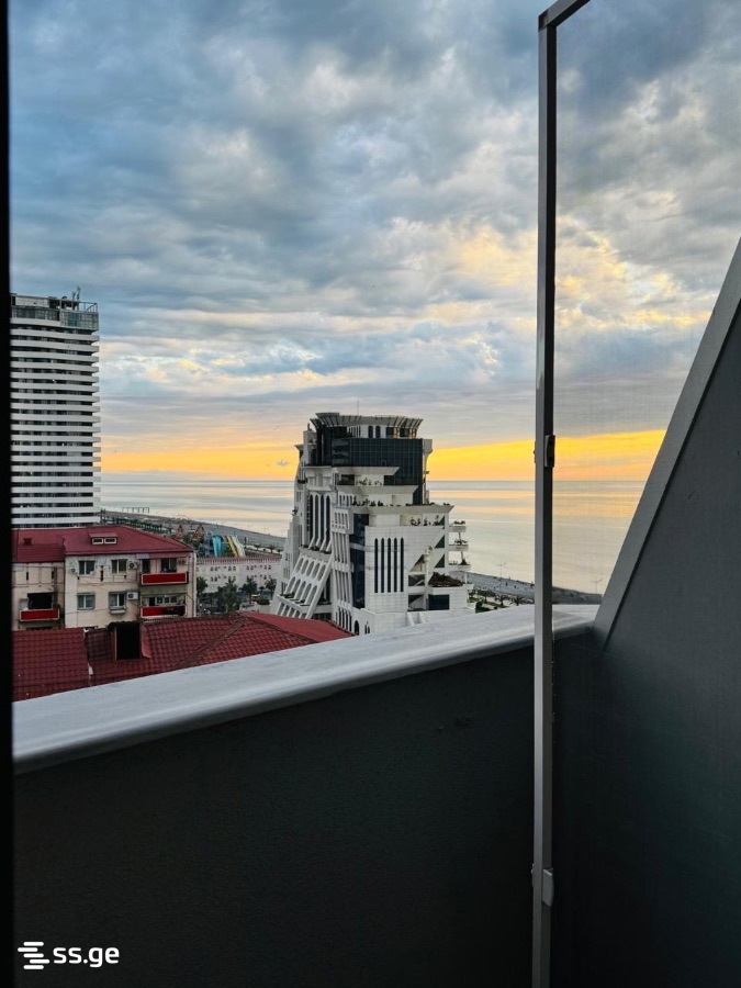 2 Room Flat Daily Rent. Batumi view 7