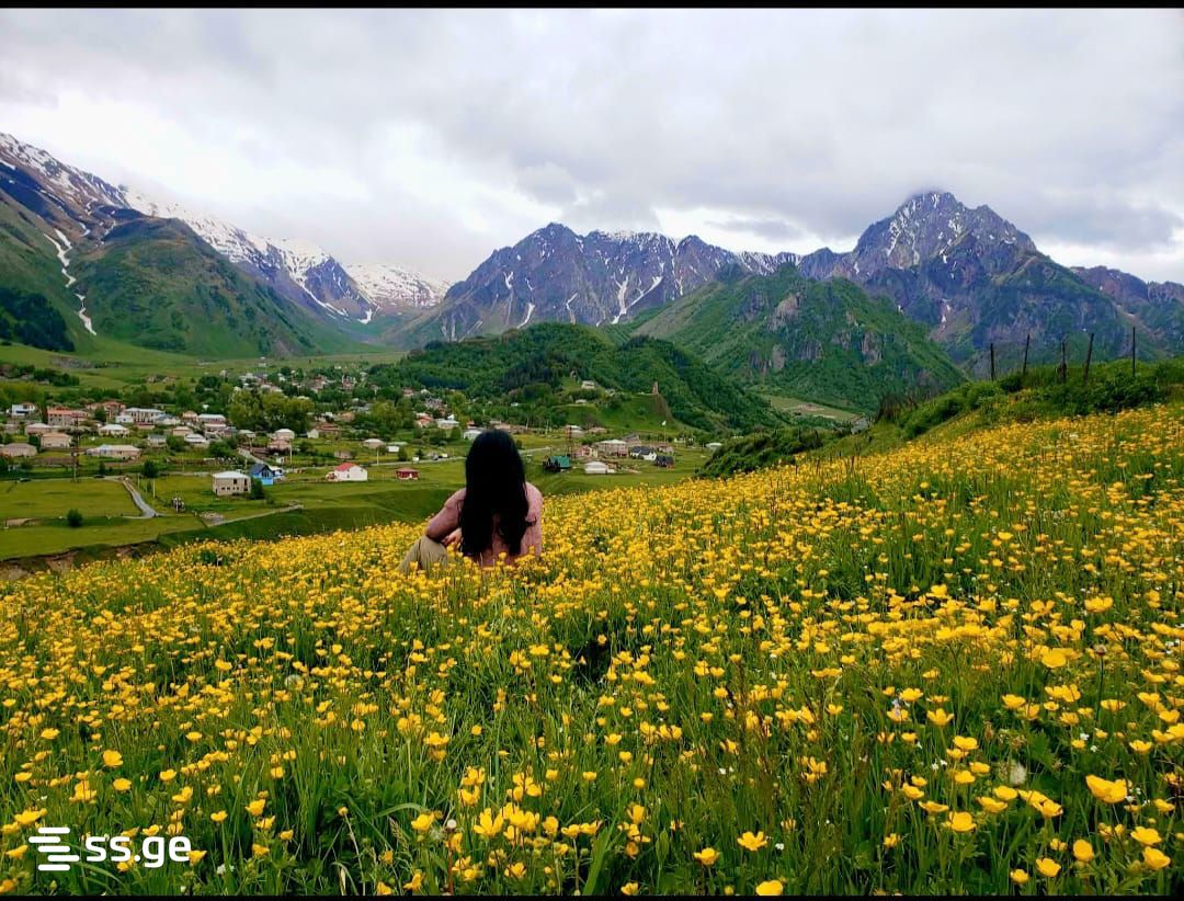 Land For Sale. Kazbegi view 1