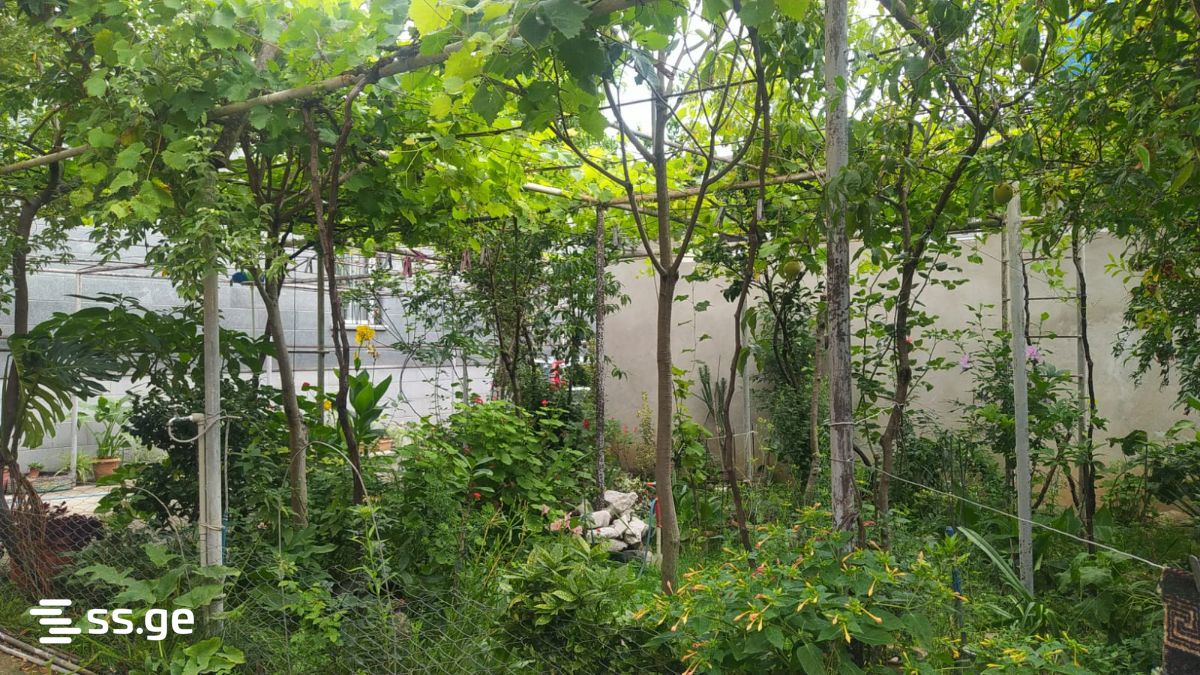 6 Room Private House For Sale view 4