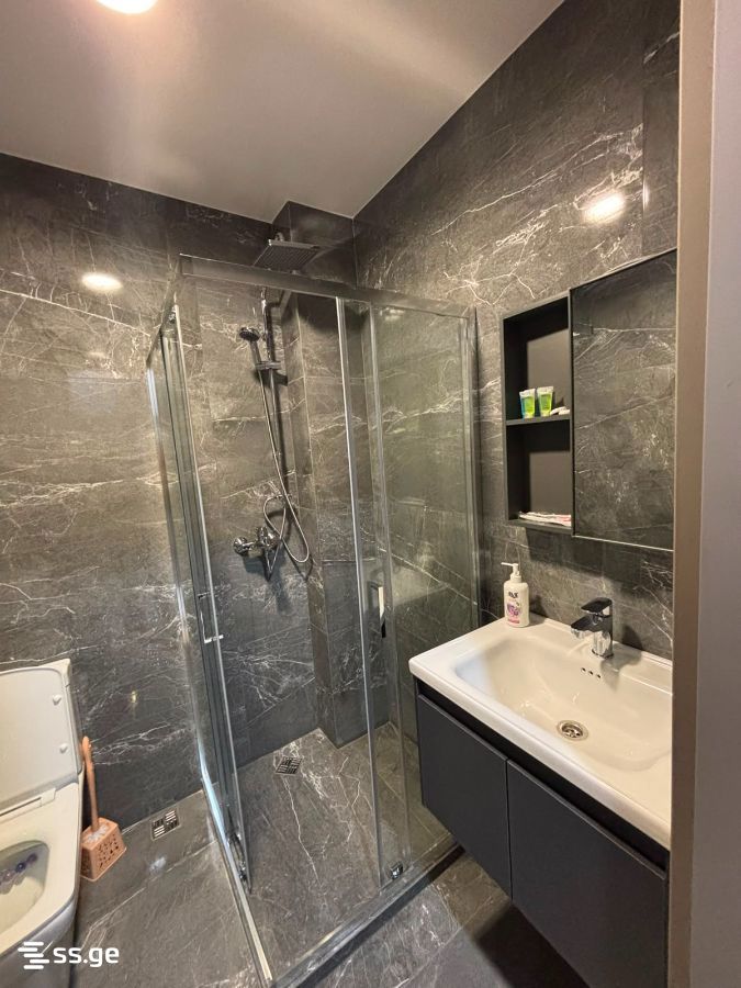 2 room Flat Daily rent. Didi digomi - Widok 6
