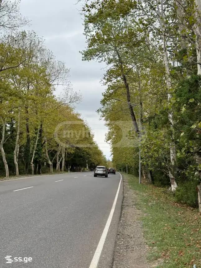 Land For Sale. Tskaltubo view 3
