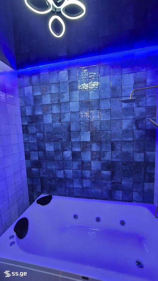 2 Room Flat Daily Rent. Mukhiani view 1