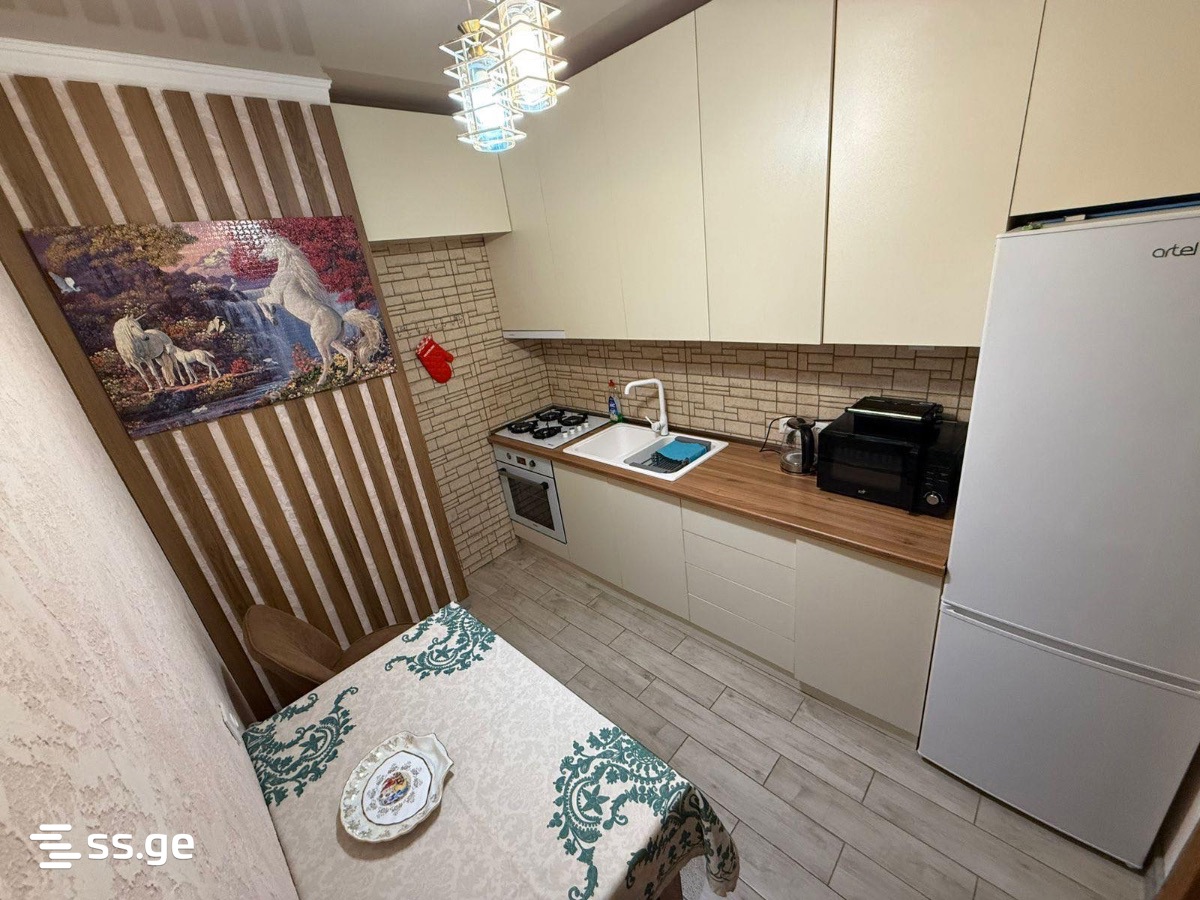 3 Room Flat Daily Rent. Kutaisi view 3