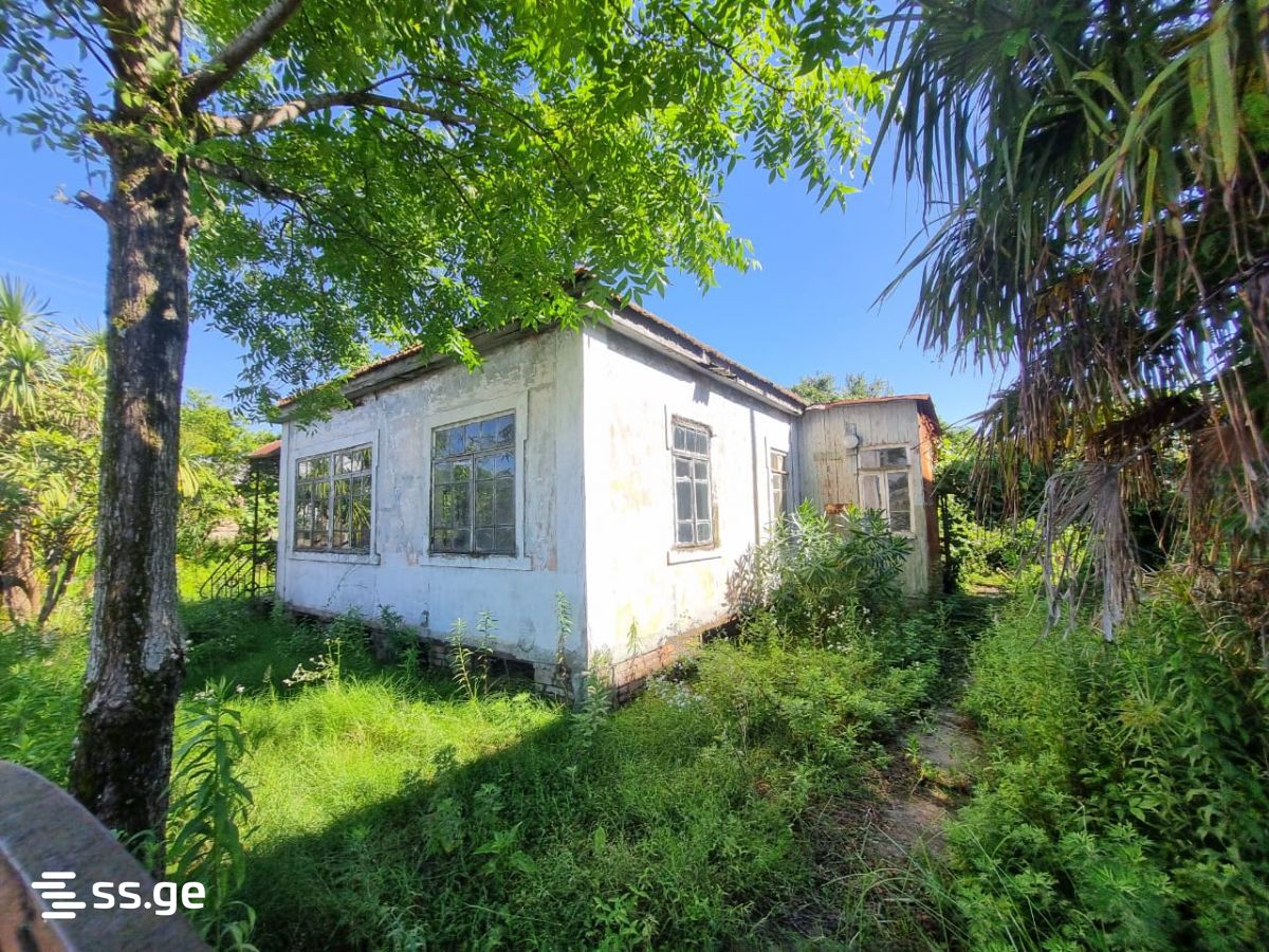 იყიდება მიწა ფოთიში view 10