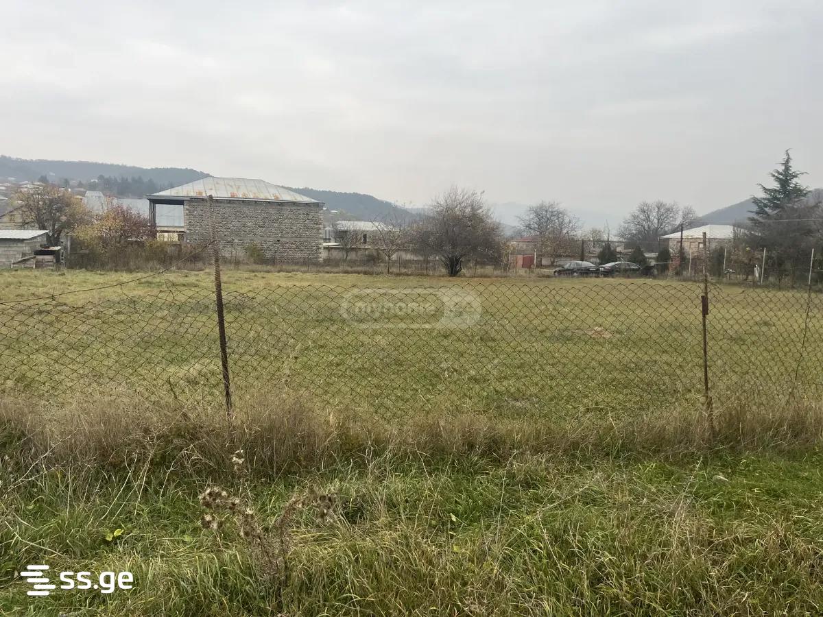 Land For Sale. Dusheti view 2