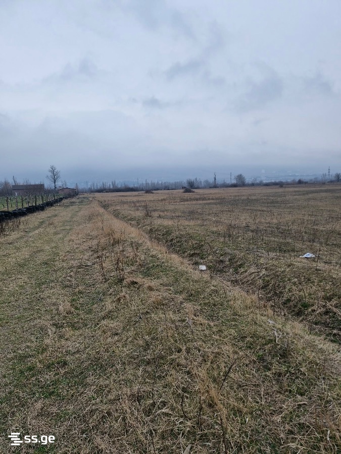 Land For Sale. Natakhtari view 2