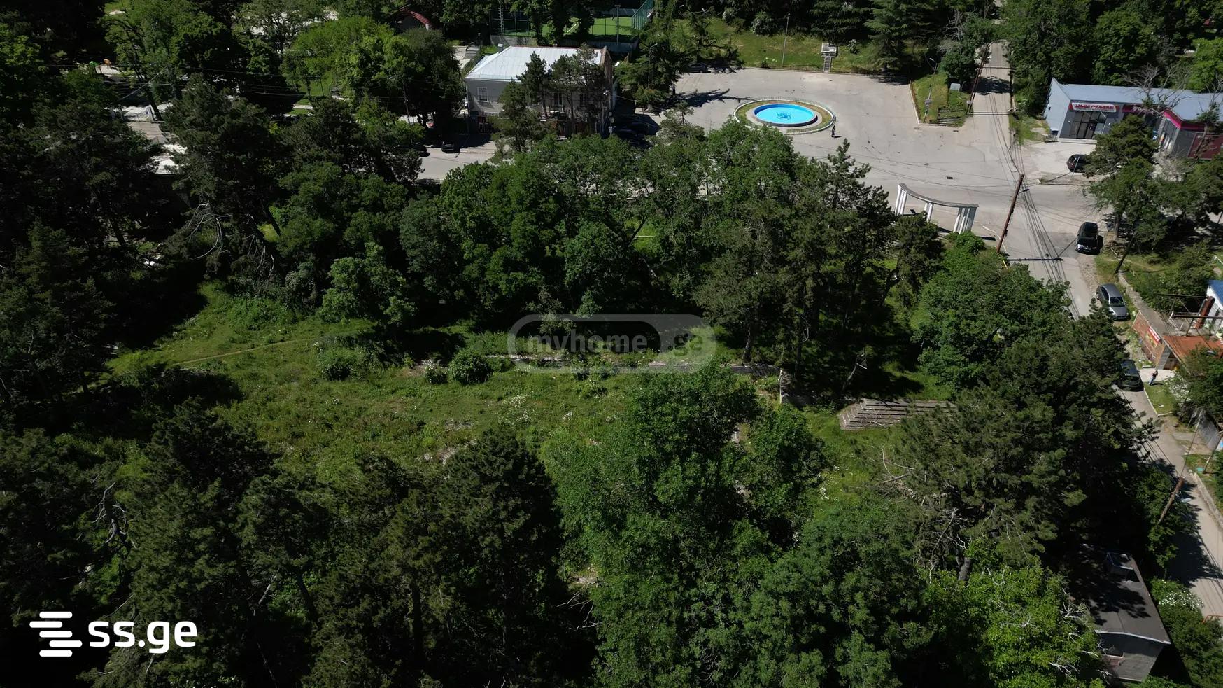 Land For Sale. Isani view 4