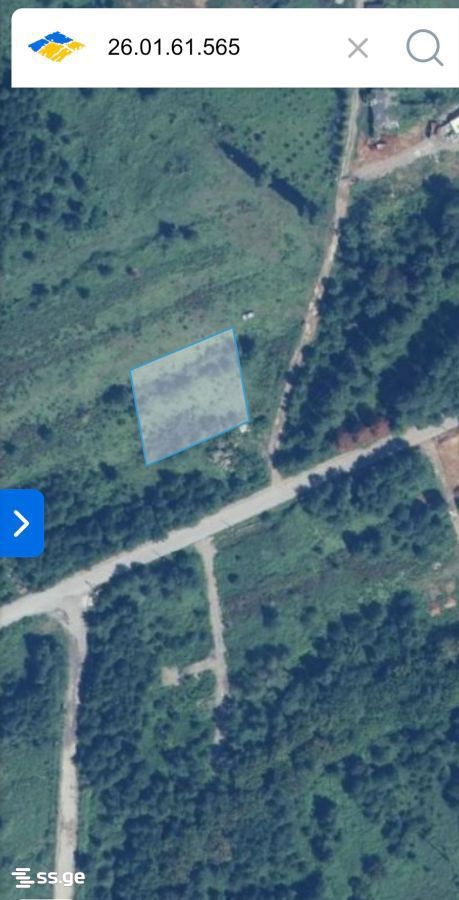 Land For Sale. Shekvetili view 4