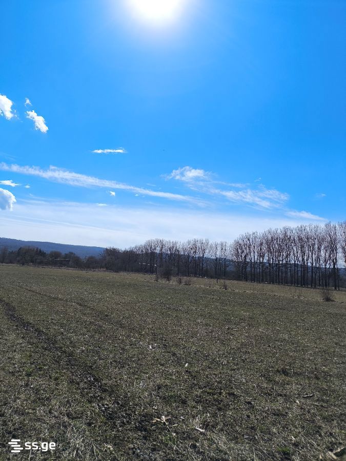 For Sale Ara Sasoplo-Sameurneo Land Plot Tianetis Munitsipalitetshi view 28