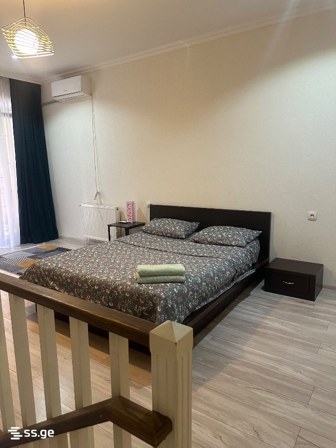 2 room Flat Daily rent. Isani - Ansicht 2
