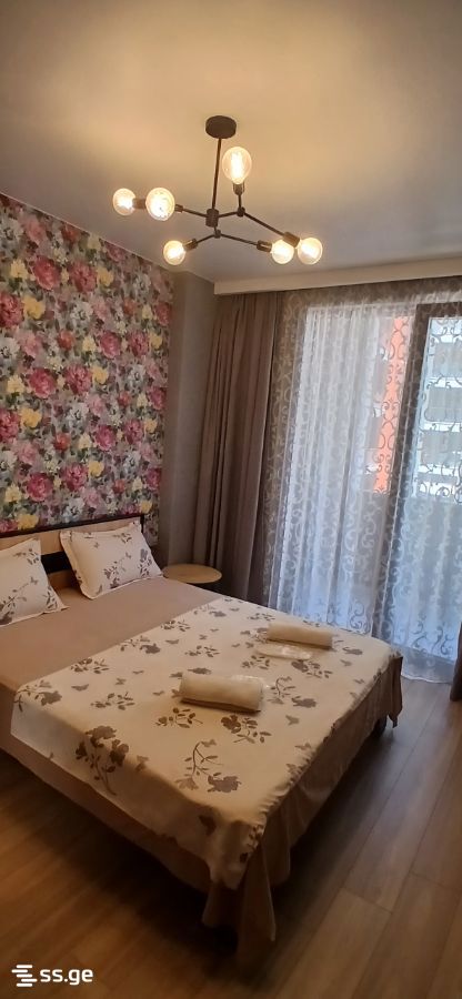 2 Room Flat Daily Rent. Didi Digomi view 2