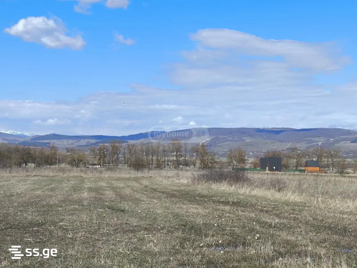 For Sale Ara Sasoplo-Sameurneo Land Plot Tianetis Munitsipalitetshi view 23