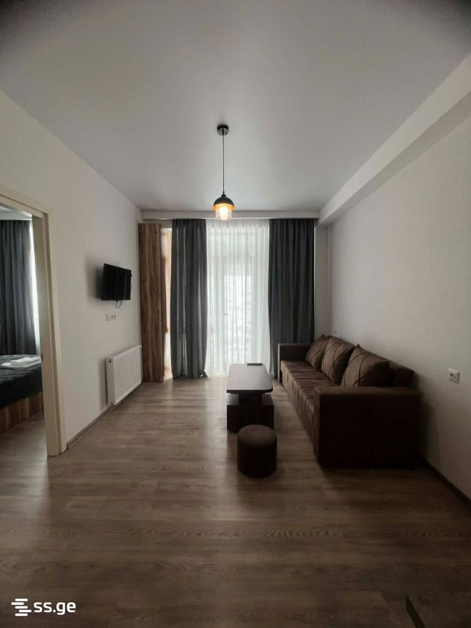 2 Room Flat Daily Rent. Bakurianis Andeziti view 7