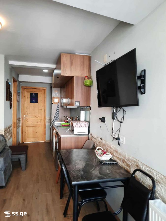 1 Room Hotel For Rent. Bakuriani view 8