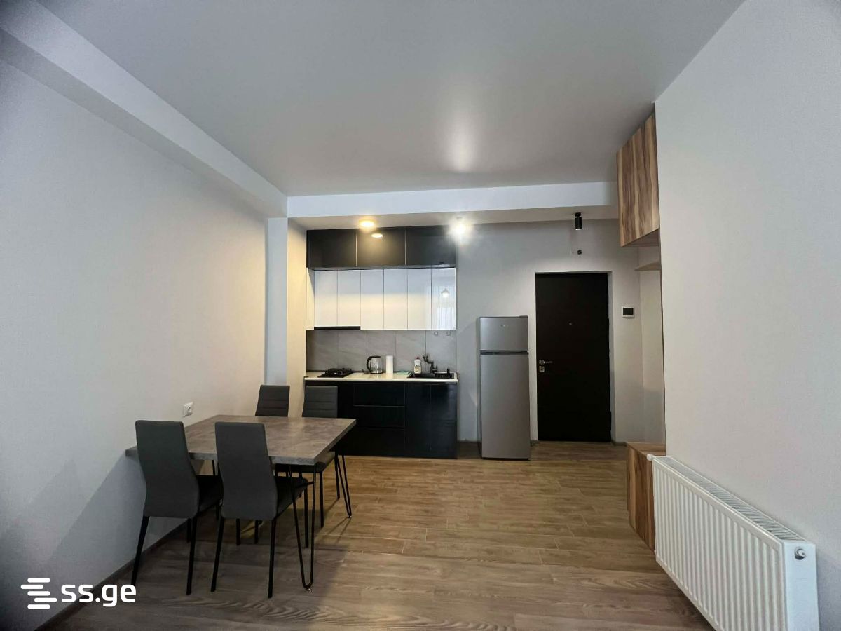 2 Room Flat Daily Rent. Bakurianis Andeziti view 2