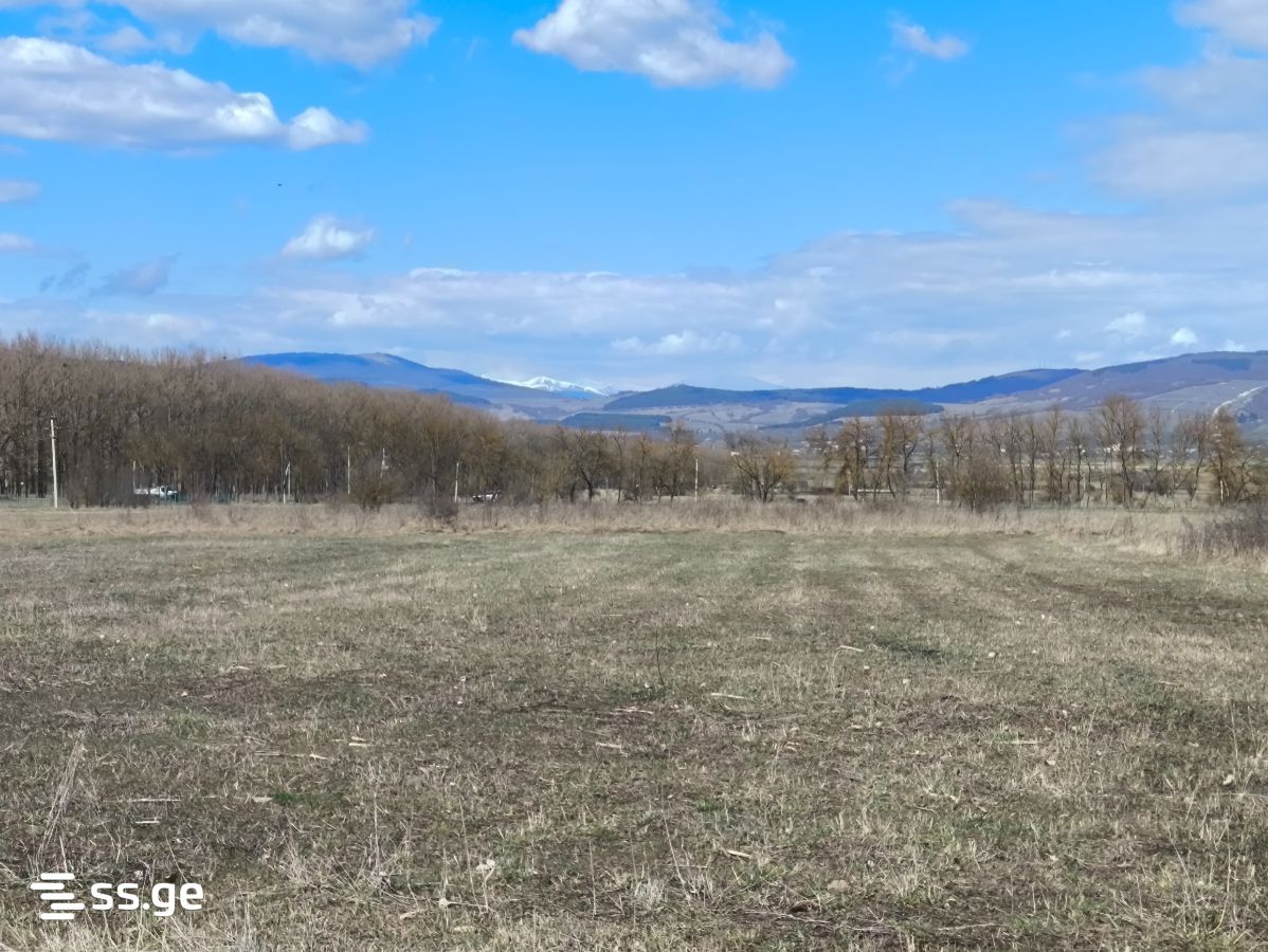 For Sale Ara Sasoplo-Sameurneo Land Plot Tianetis Munitsipalitetshi view 25