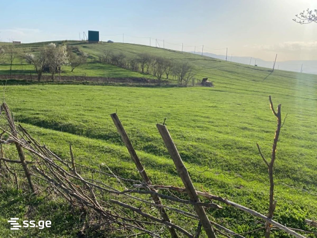 Land For Sale. Orbeti view 2