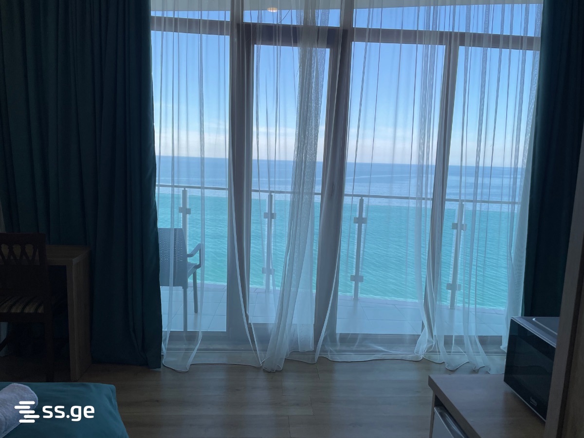 1 Room Flat Daily Rent. Batumi view 13