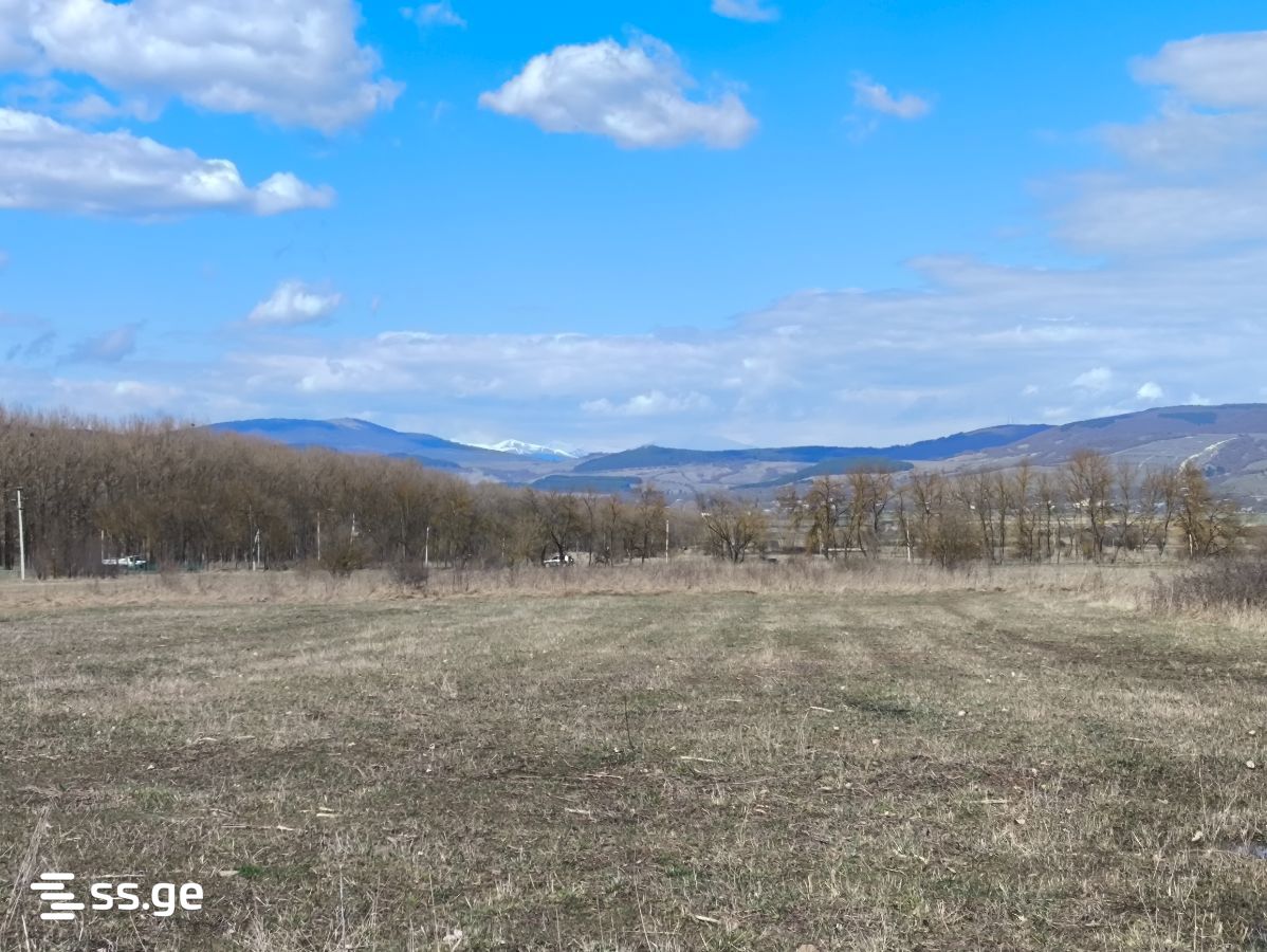 For Sale Ara Sasoplo-Sameurneo Land Plot Tianetis Munitsipalitetshi view 26