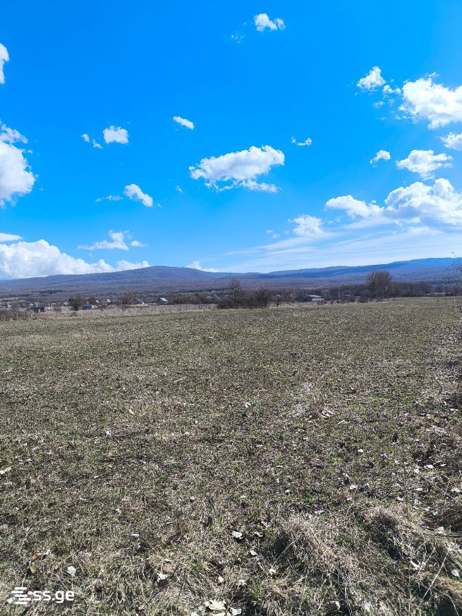 For Sale Ara Sasoplo-Sameurneo Land Plot Tianetis Munitsipalitetshi view 29