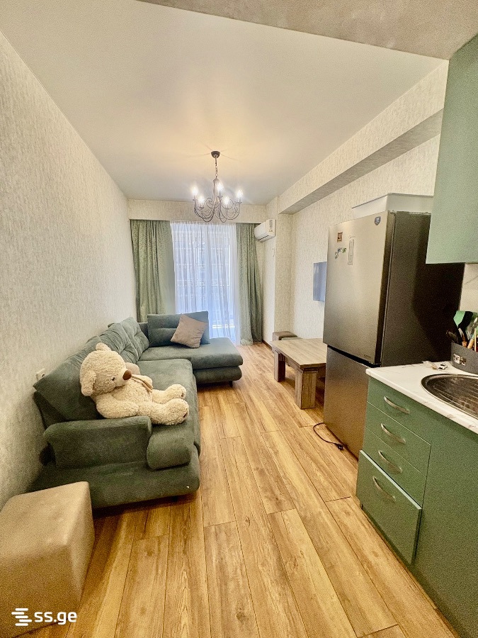 2 room Flat For Rent. Didi digomi - Widok 2