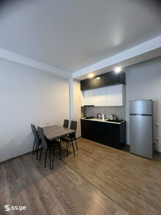 2 Room Flat Daily Rent. Bakurianis Andeziti view 6