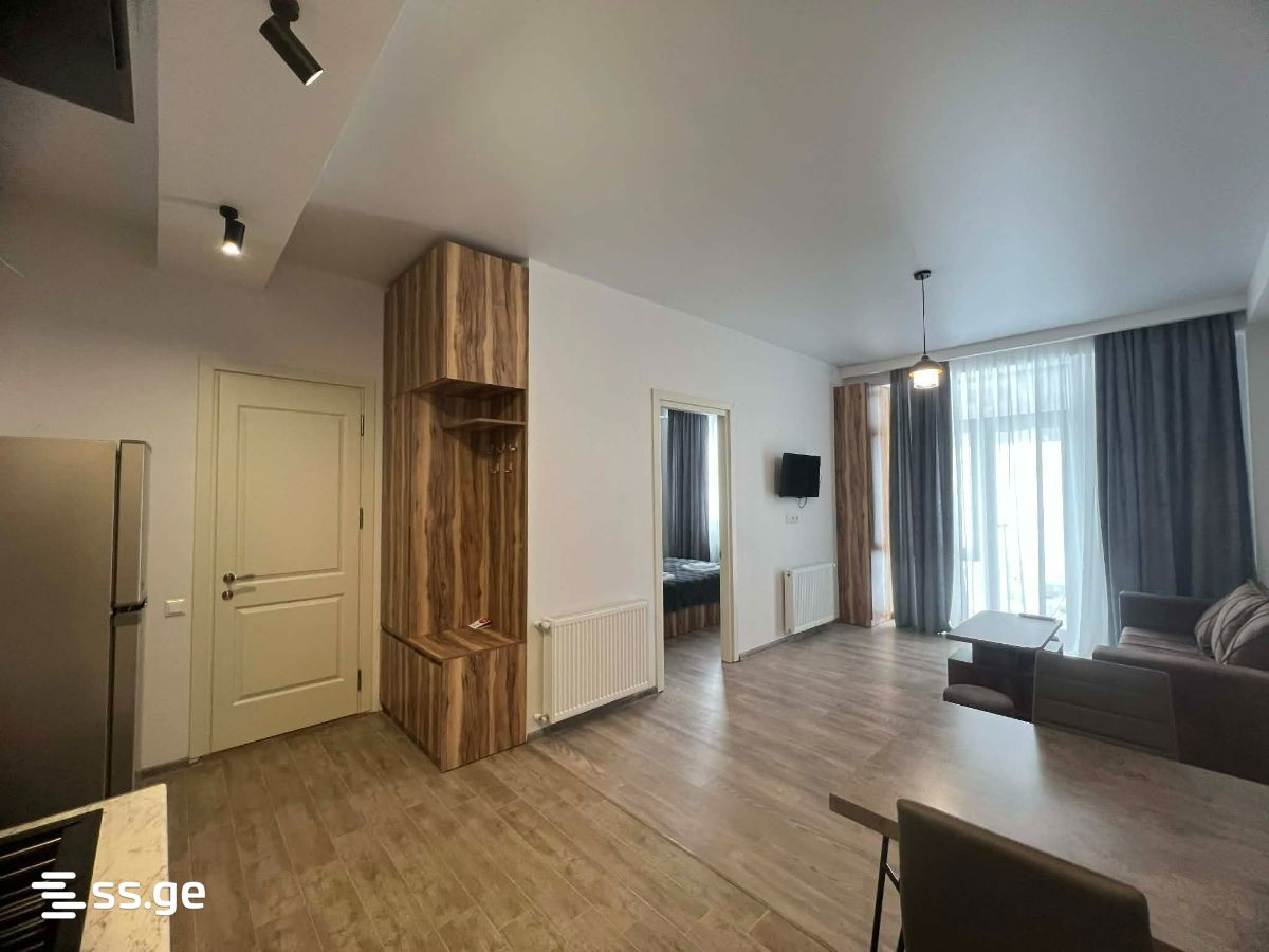 2 Room Flat Daily Rent. Bakurianis Andeziti view 3