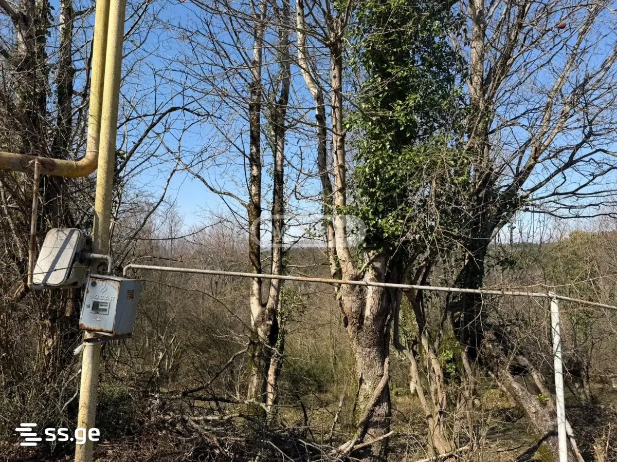Land For Sale. Tskaltubo view 3