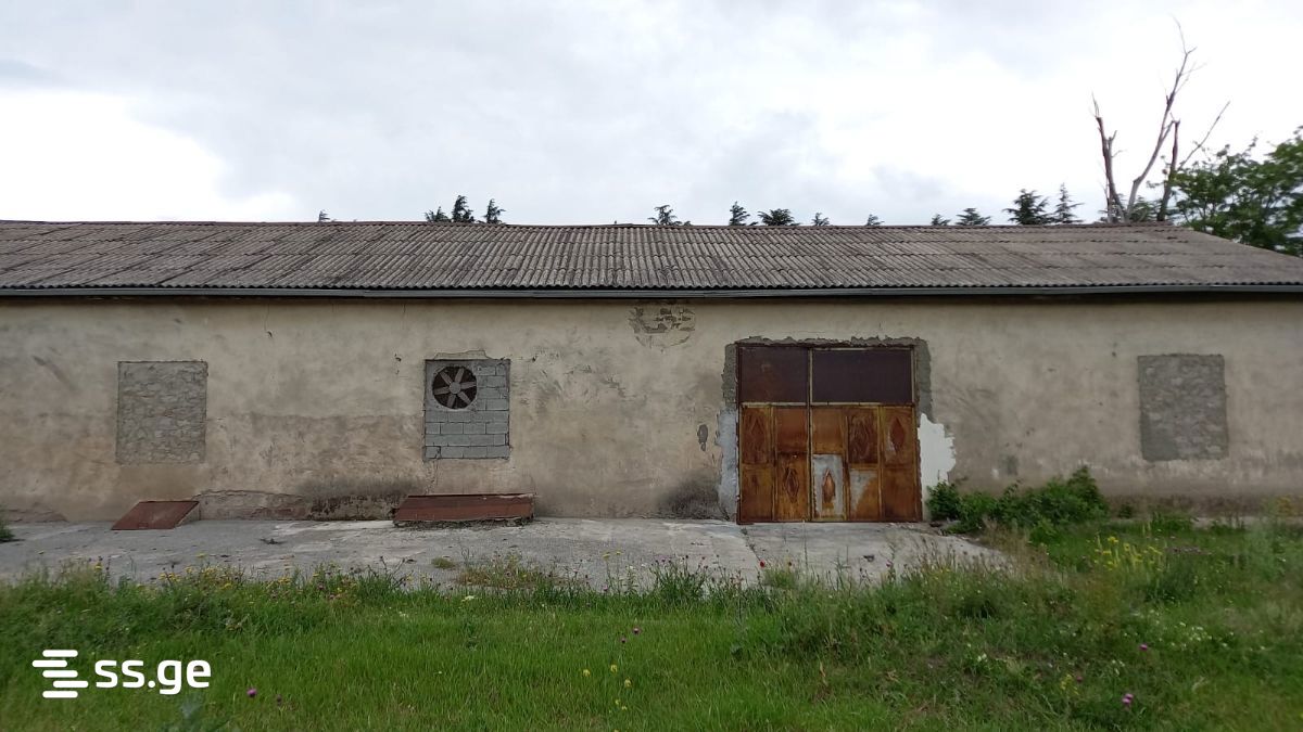 Store-Industrial Property For Rent. Mtskheta view 7