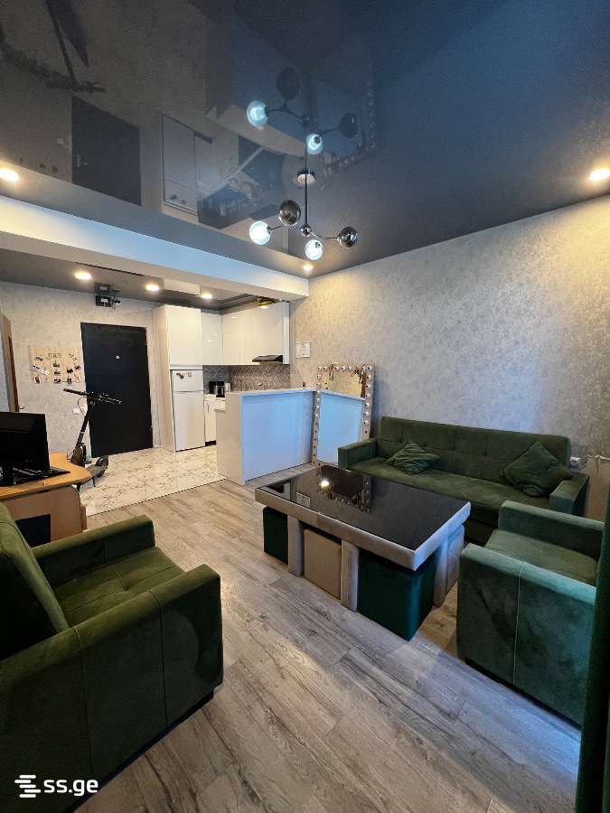 2 room Flat For Sale. Gldani – pohled 3