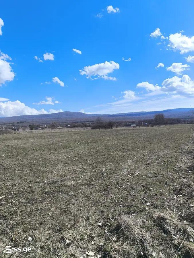For Sale Ara Sasoplo-Sameurneo Land Plot Tianetis Munitsipalitetshi view 20