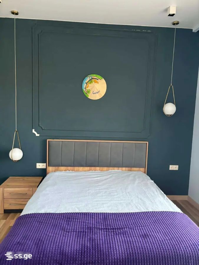 5 Room Summer Cottage For Rent. Mtskheta view 11
