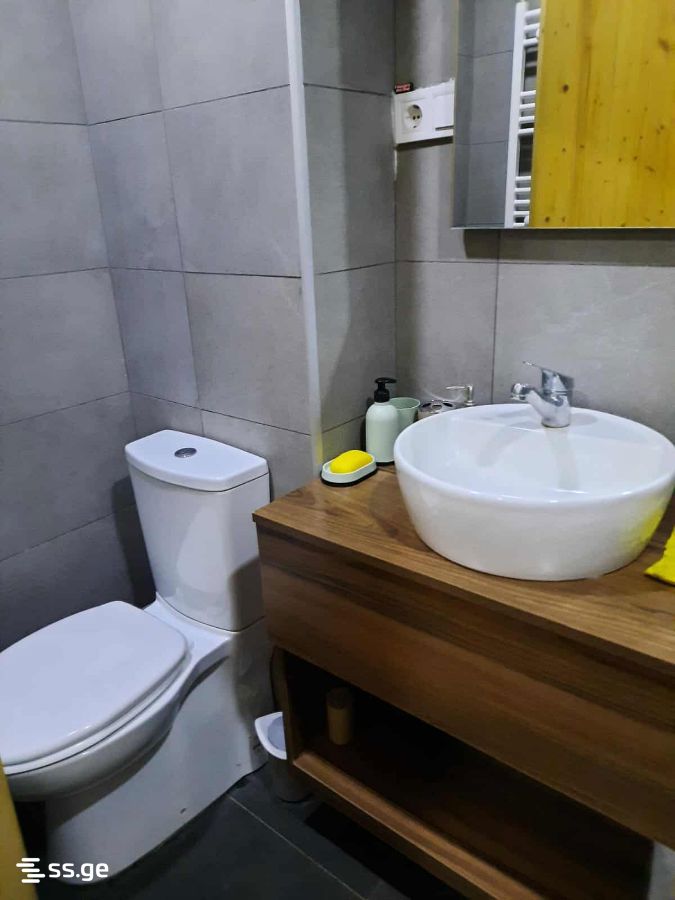 1 Room Hotel For Rent. Bakuriani view 7